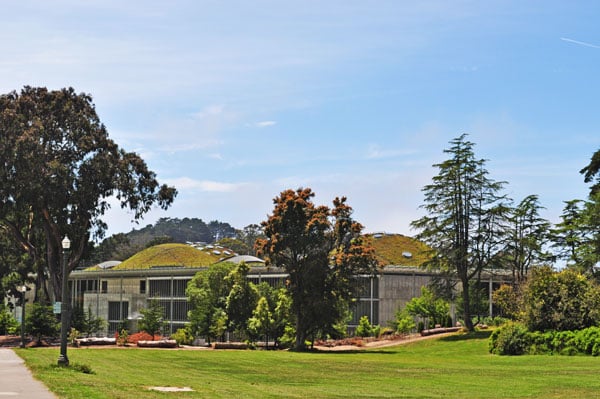 _California-Academy-of-Sciences