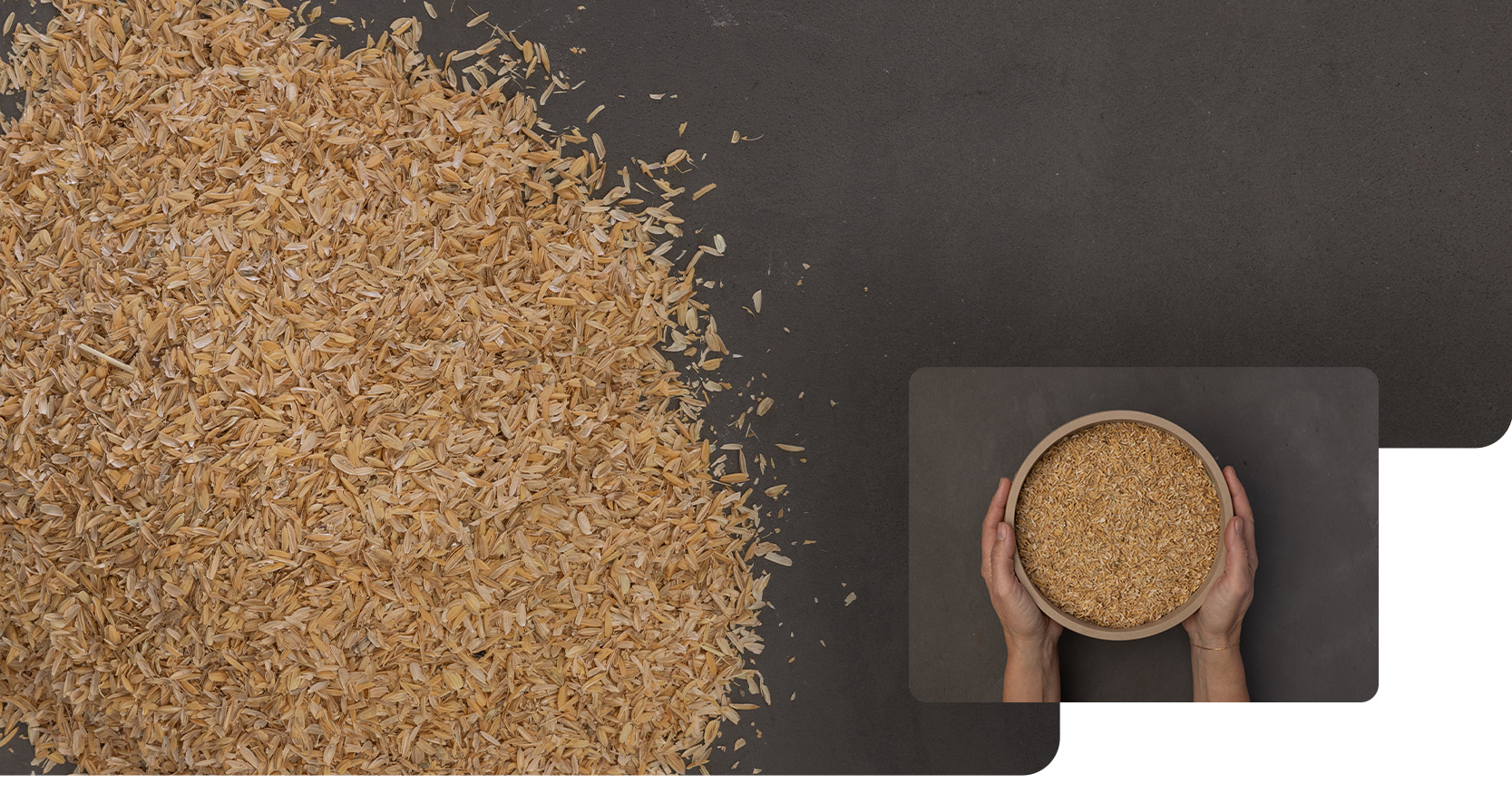 Insufflaggio isolante in lolla: i vantaggi reali nelle costruzioni e ristrutturazioni